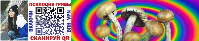 Псилоцибиновые грибы Cubensis что такое наркотик Нижние Серги
